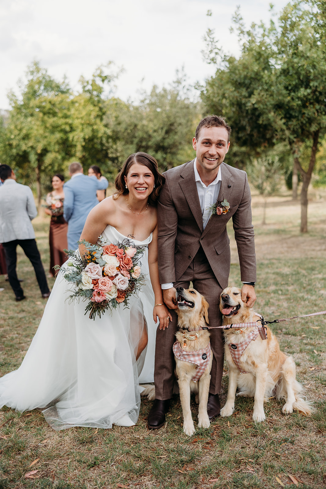 Bride and Groom smiling after their wedding ceremony with their two happy labradors in front of them. Taken by Acacia & Grace Photography at The Truffle Farm, Canberra